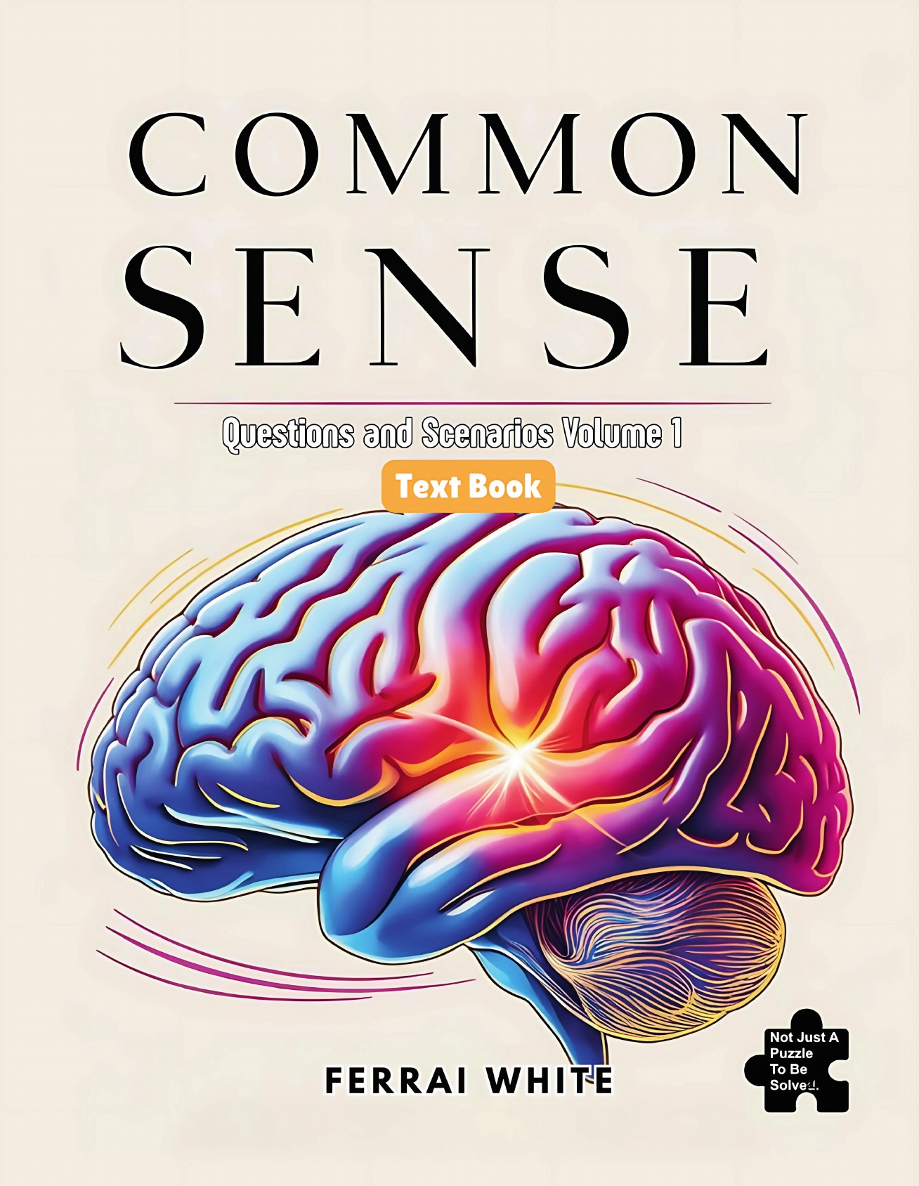 Common Sense Questions and Scenarios Volume 1 book cover
